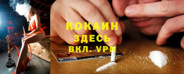сатива Верхний Тагил