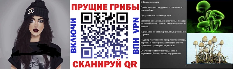 Псилоцибиновые грибы мухоморы  мориарти какой сайт  Инза  где купить  